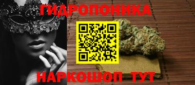 мескалин Кингисепп