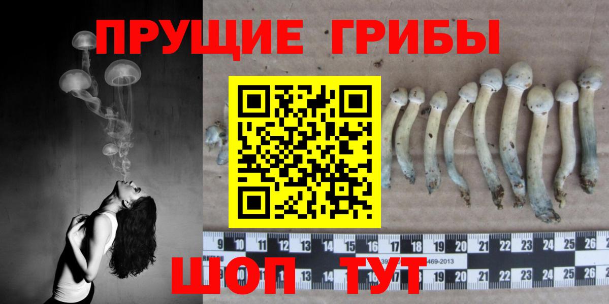 Галлюциногенные грибы Cubensis  Вход с VPN  Куйбышев 